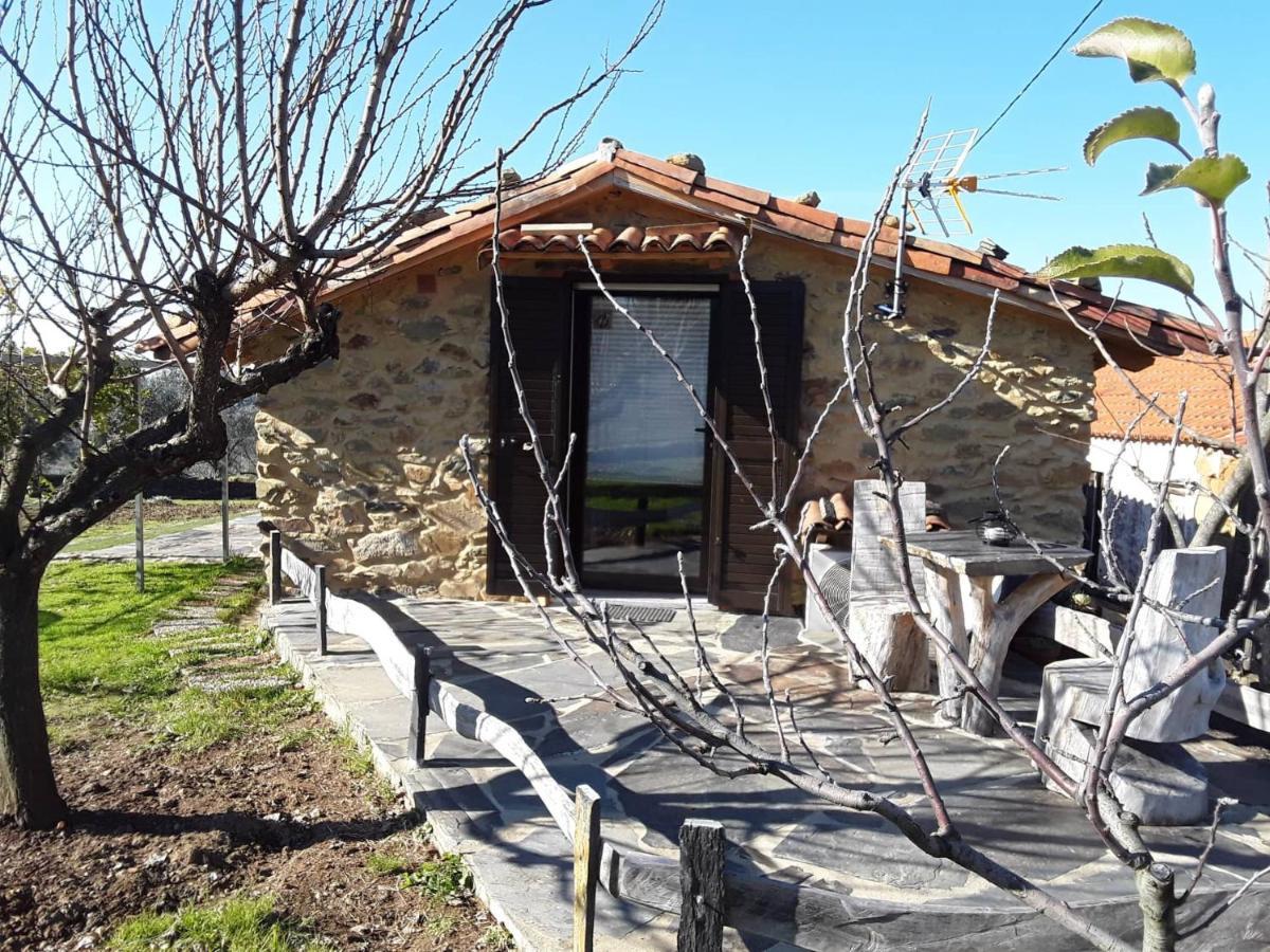 Апартаменты A Casa Do Moinho Педроган-Пекену Экстерьер фото