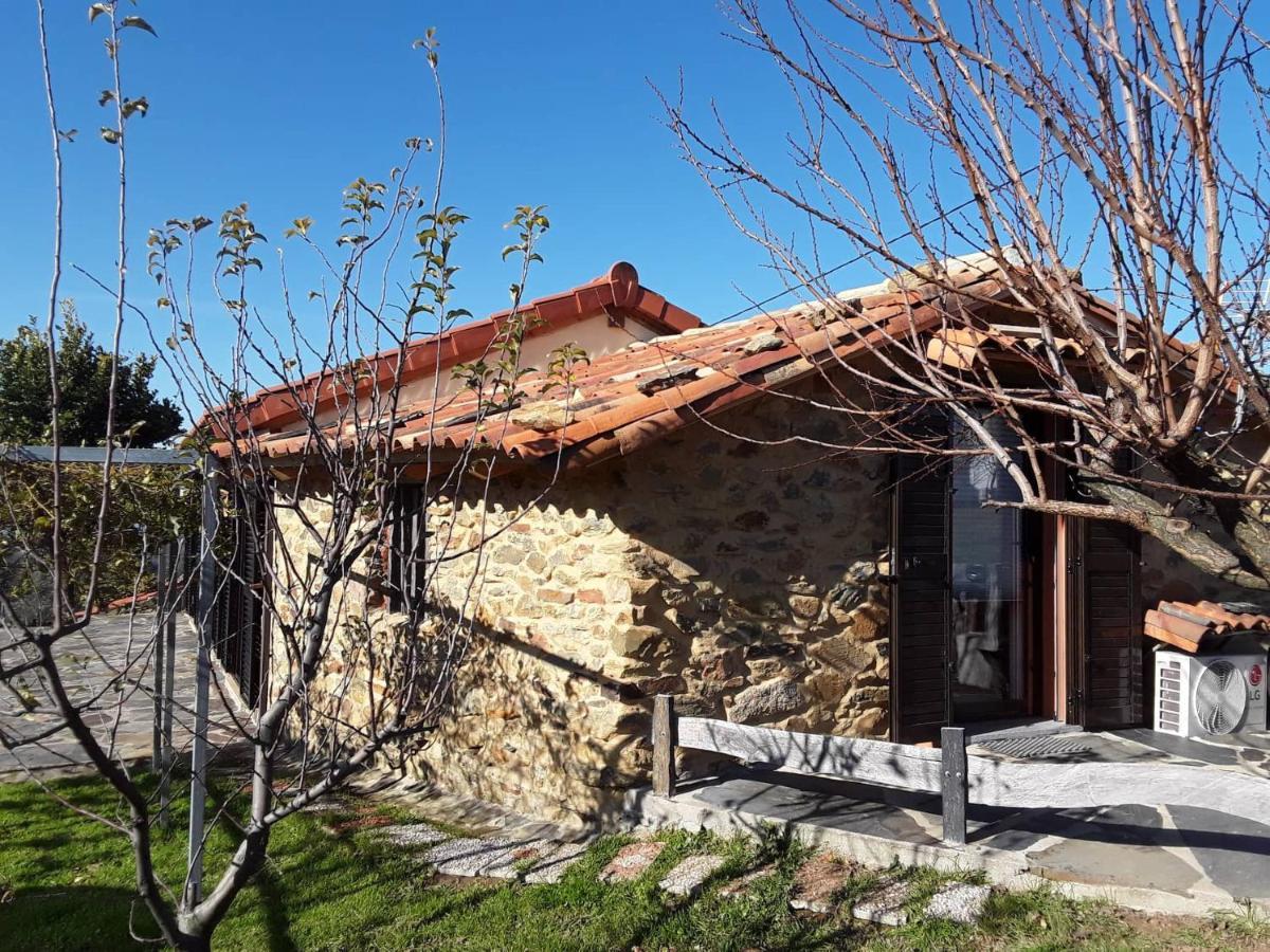 Апартаменты A Casa Do Moinho Педроган-Пекену Экстерьер фото